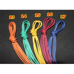 A assortir aux chaussettes ou cravate ou autre: 18 couleurs de lacets 