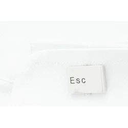 CTRL + ESC (Control / Escap)